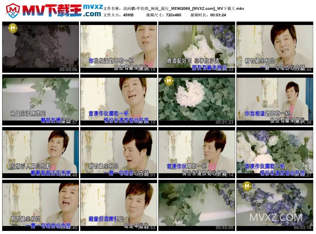 高向鹏-甲治的_闽南_流行_ME902069
